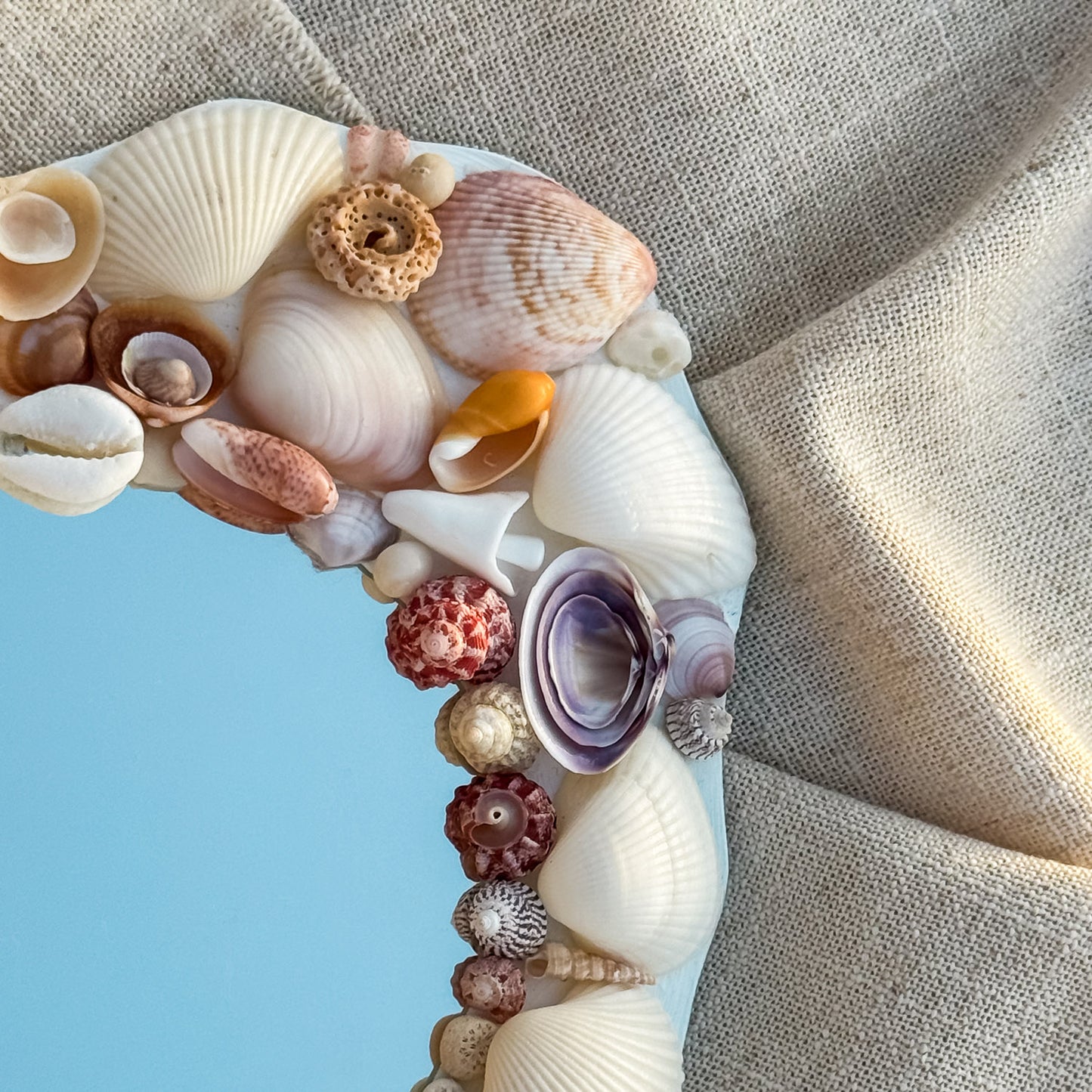 GRACE Seashell Mirror featuring handpicked seashells including scallops, conches, and cockles, set on a premium glass mirror. Measuring 24cm x 18cm, the mirror showcases a unique coastal design perfect for beach-inspired decor 2