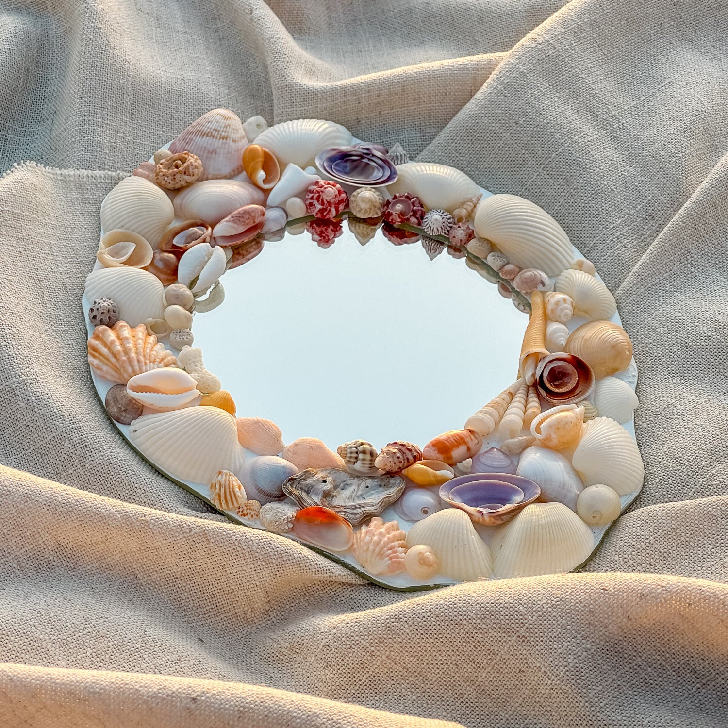 GRACE Seashell Mirror featuring handpicked seashells including scallops, conches, and cockles, set on a premium glass mirror. Measuring 24cm x 18cm, the mirror showcases a unique coastal design perfect for beach-inspired decor 3